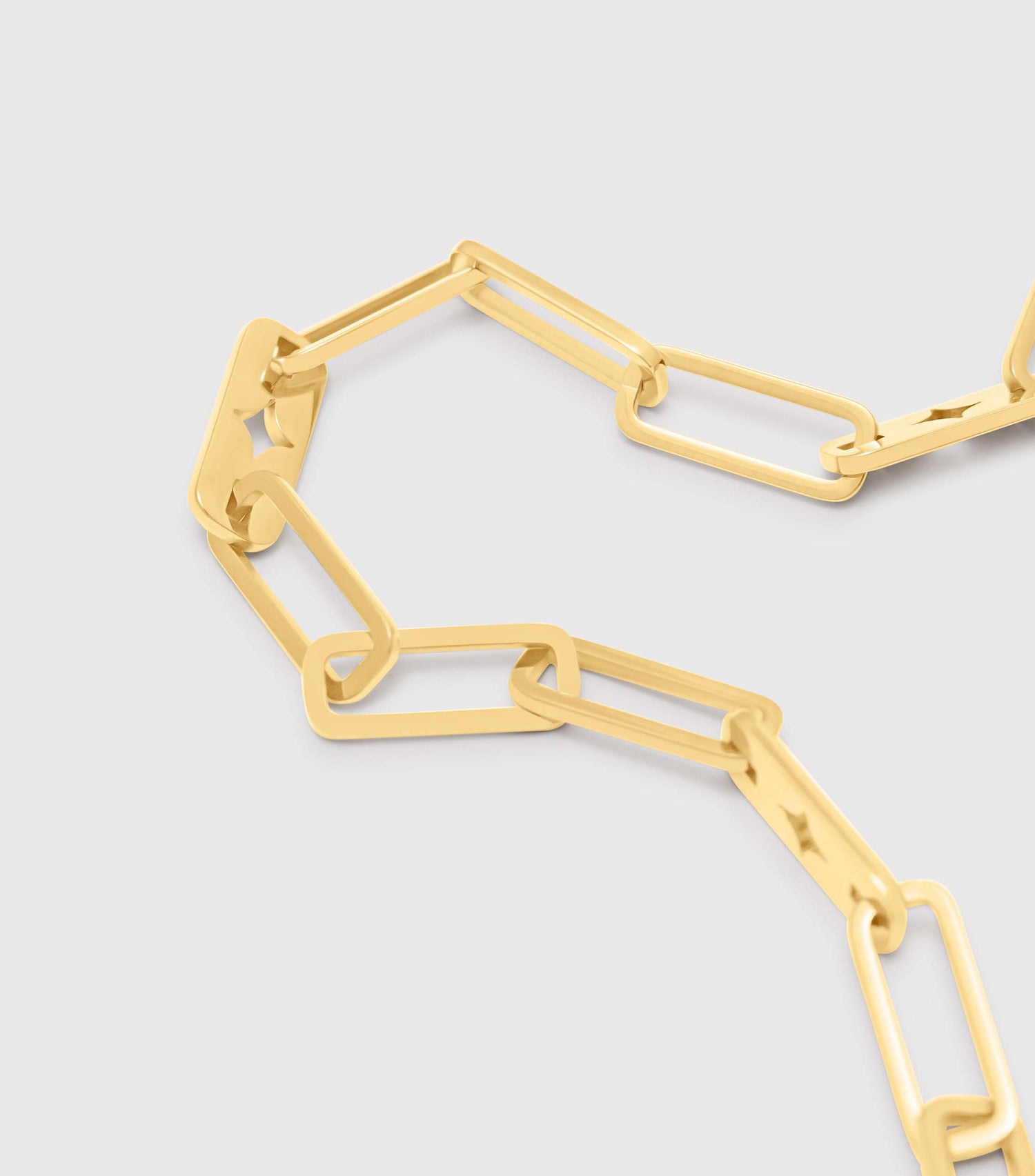 Se-Luna Signature Chain Belt