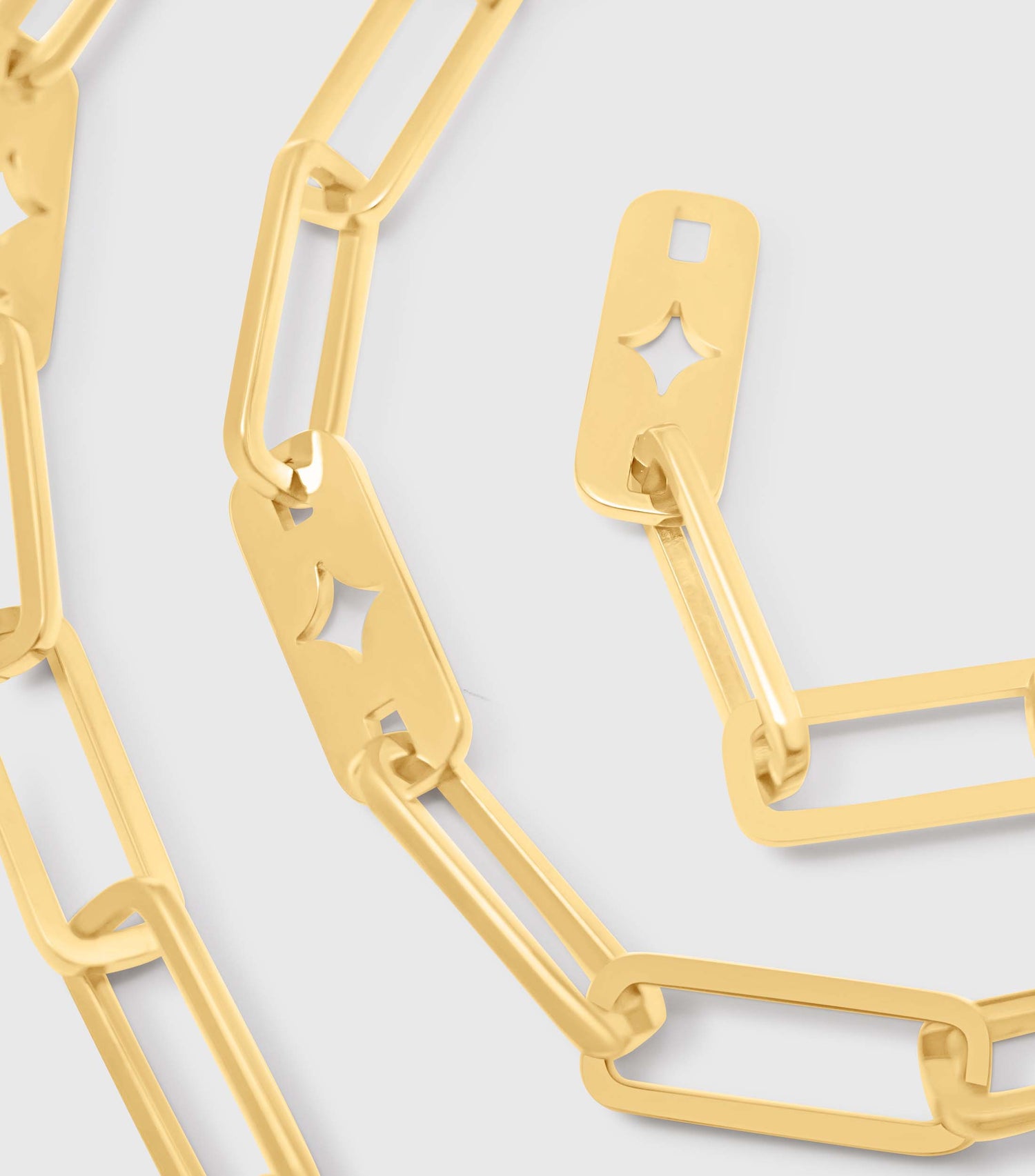 Se-Luna Signature Chain Belt