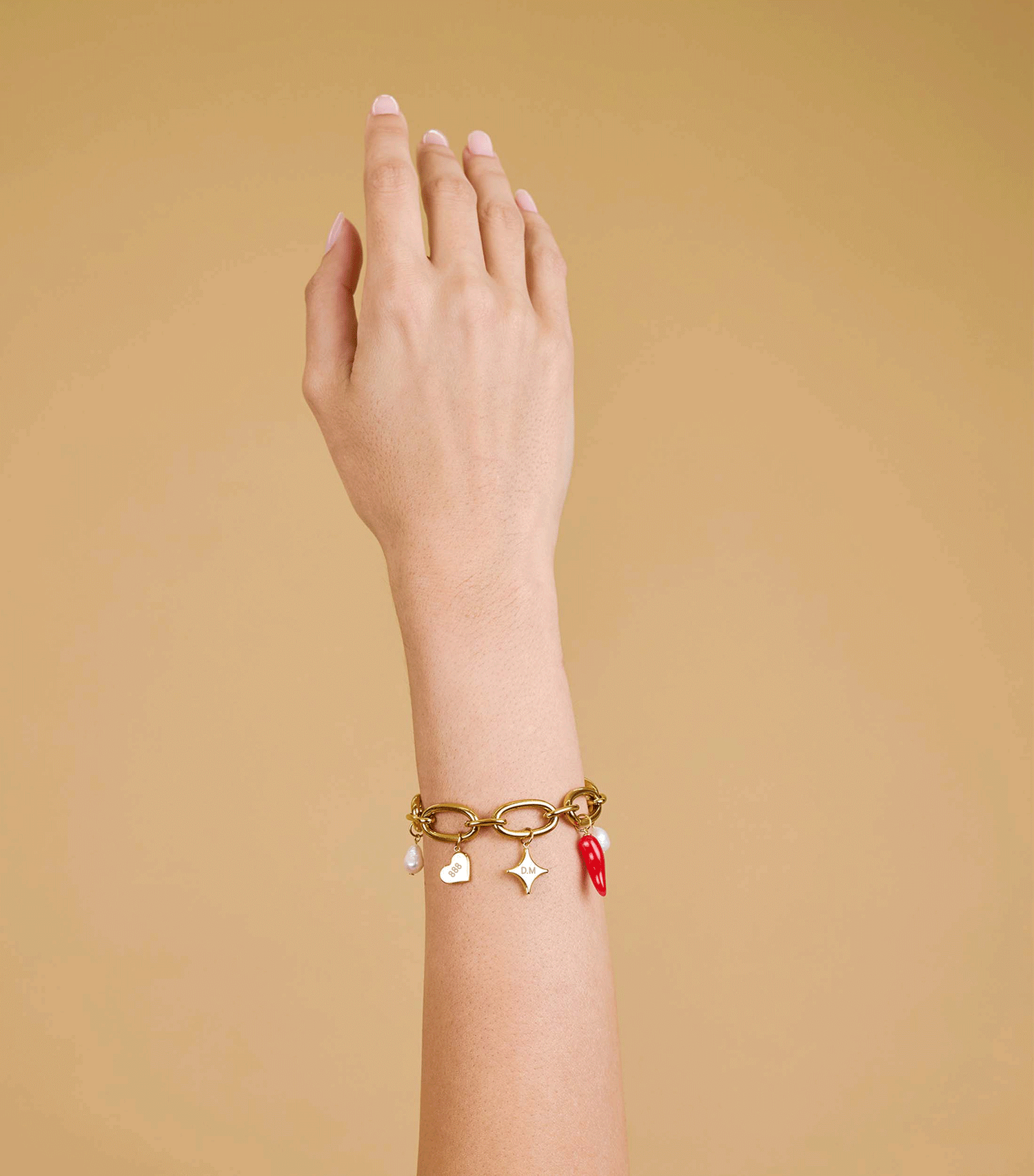 Forte Charm Bracelet and Hoop Earrings Giftset