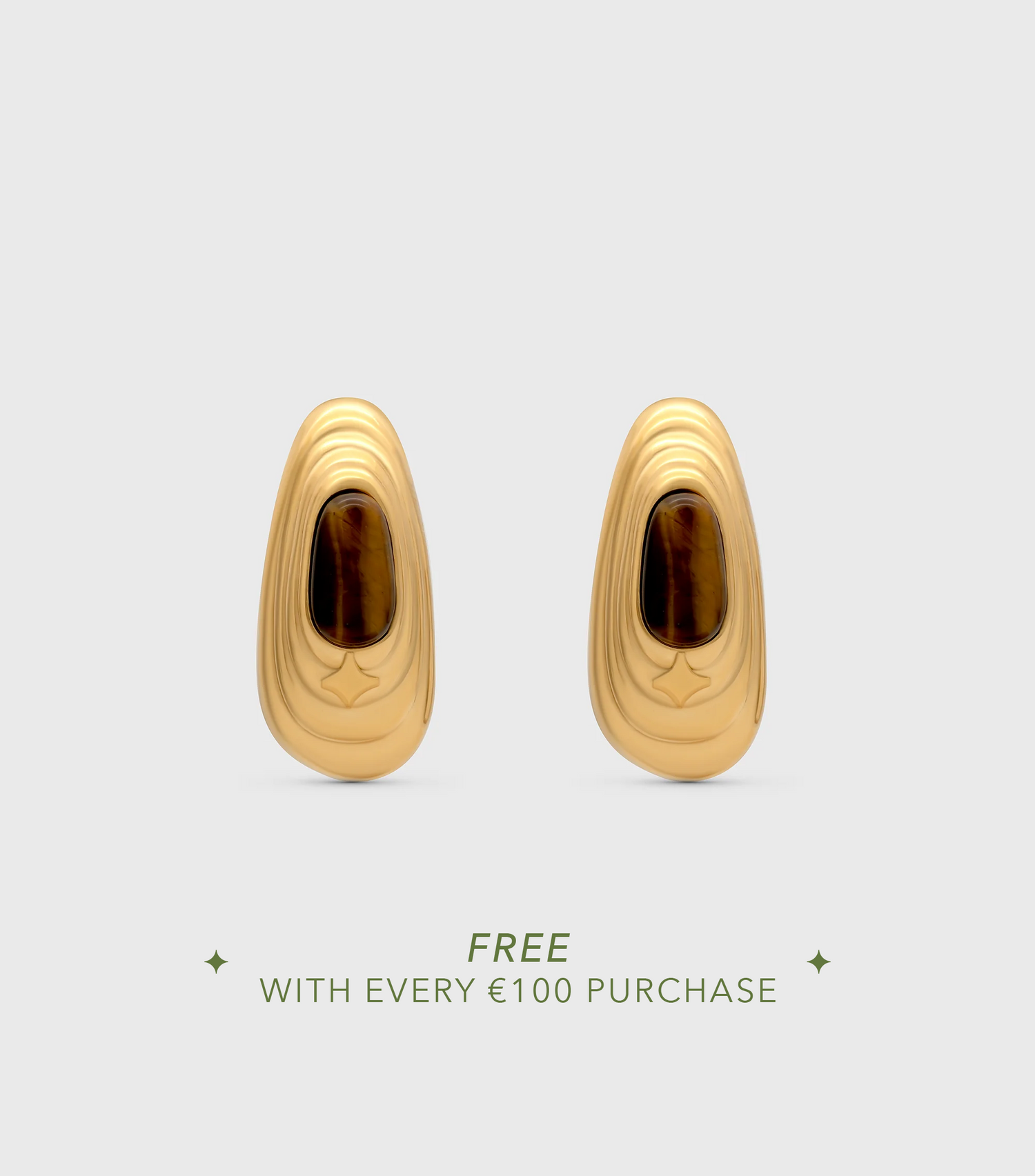 Tiger Eye Stone Wave Hoop Earrings