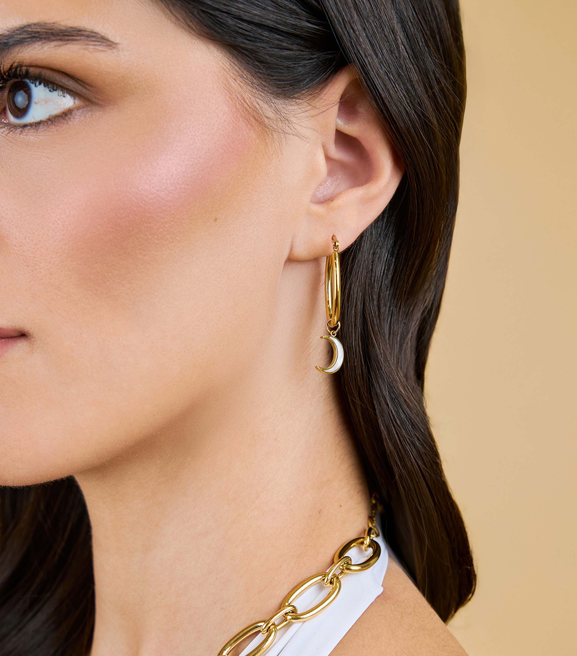 Grace Charm Bracelet and Hoop Earrings Giftset