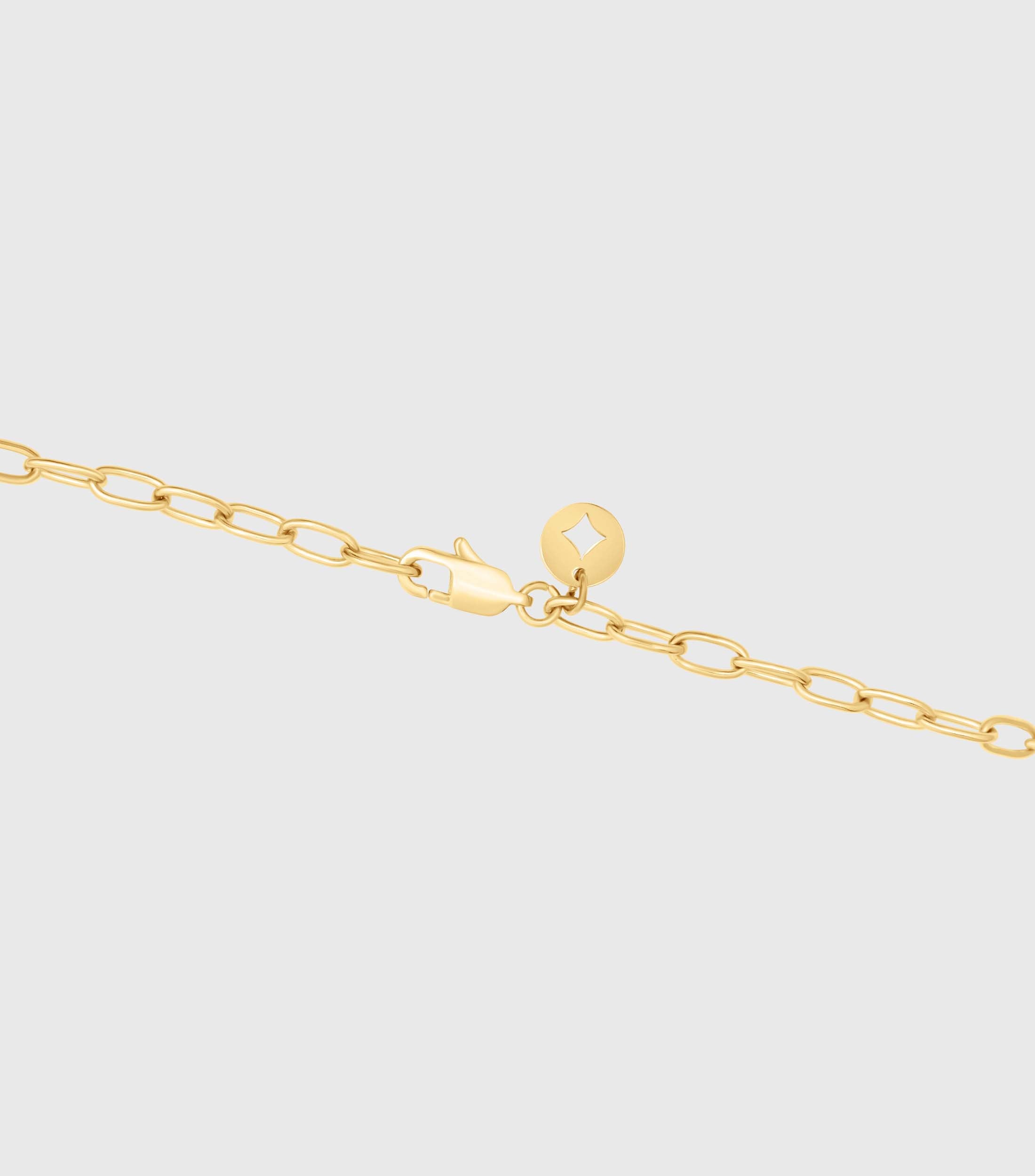 Charm Link Necklace