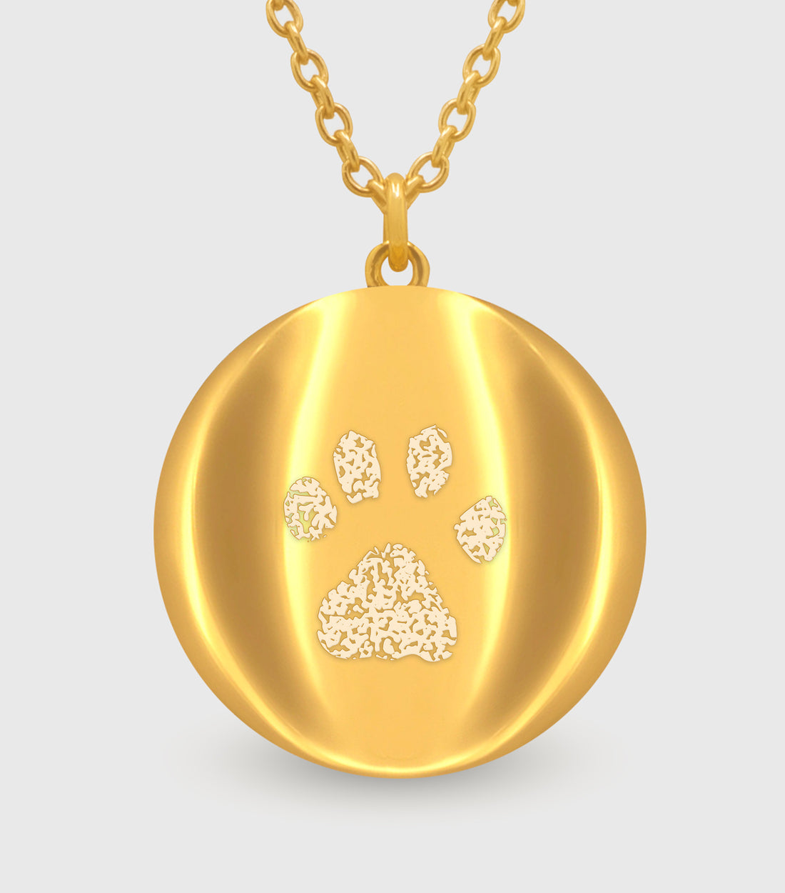 Celestial Demi-Fine Paw Print Necklace