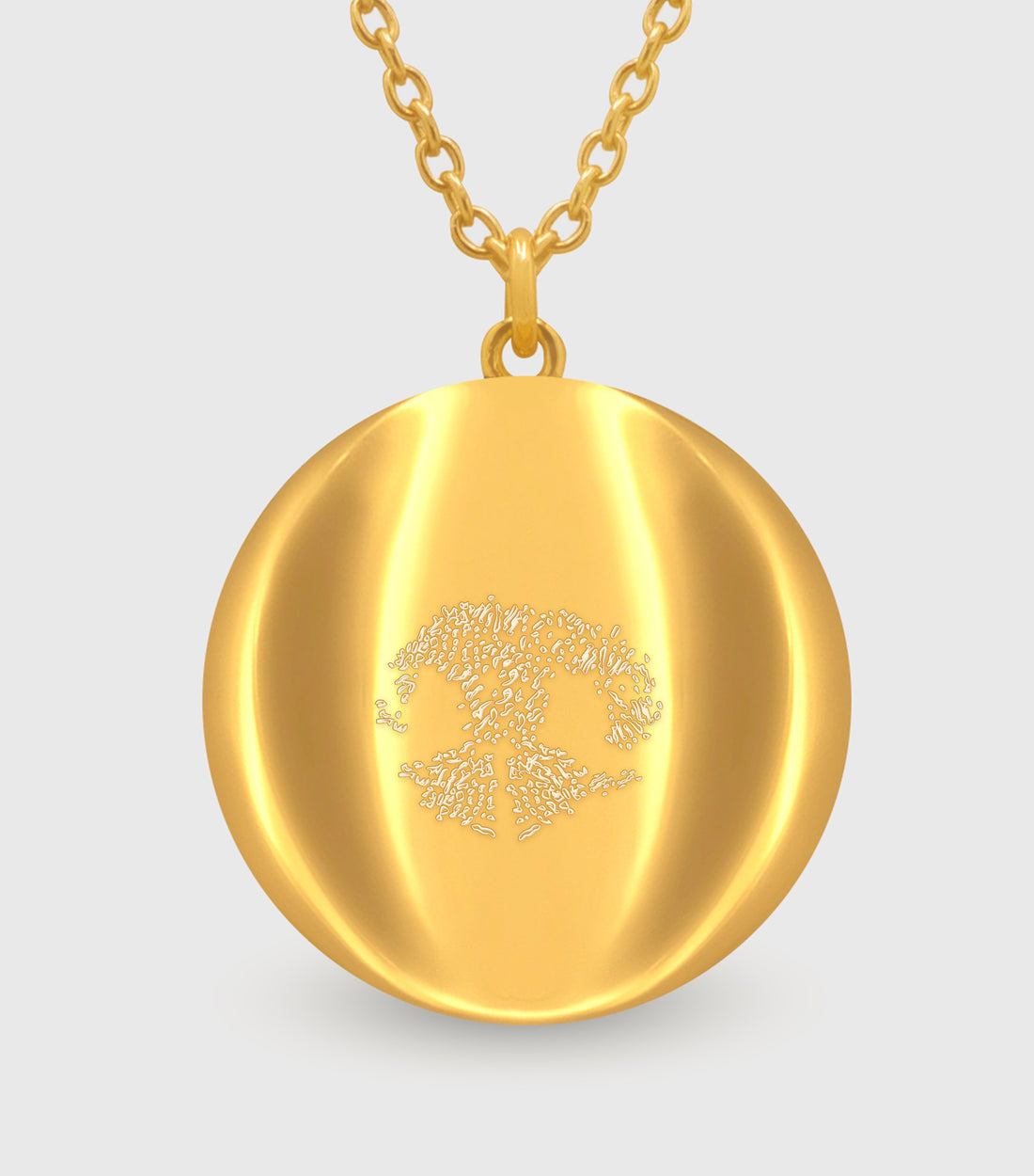 Celestial Demi-Fine Pendant Nose Print Necklace