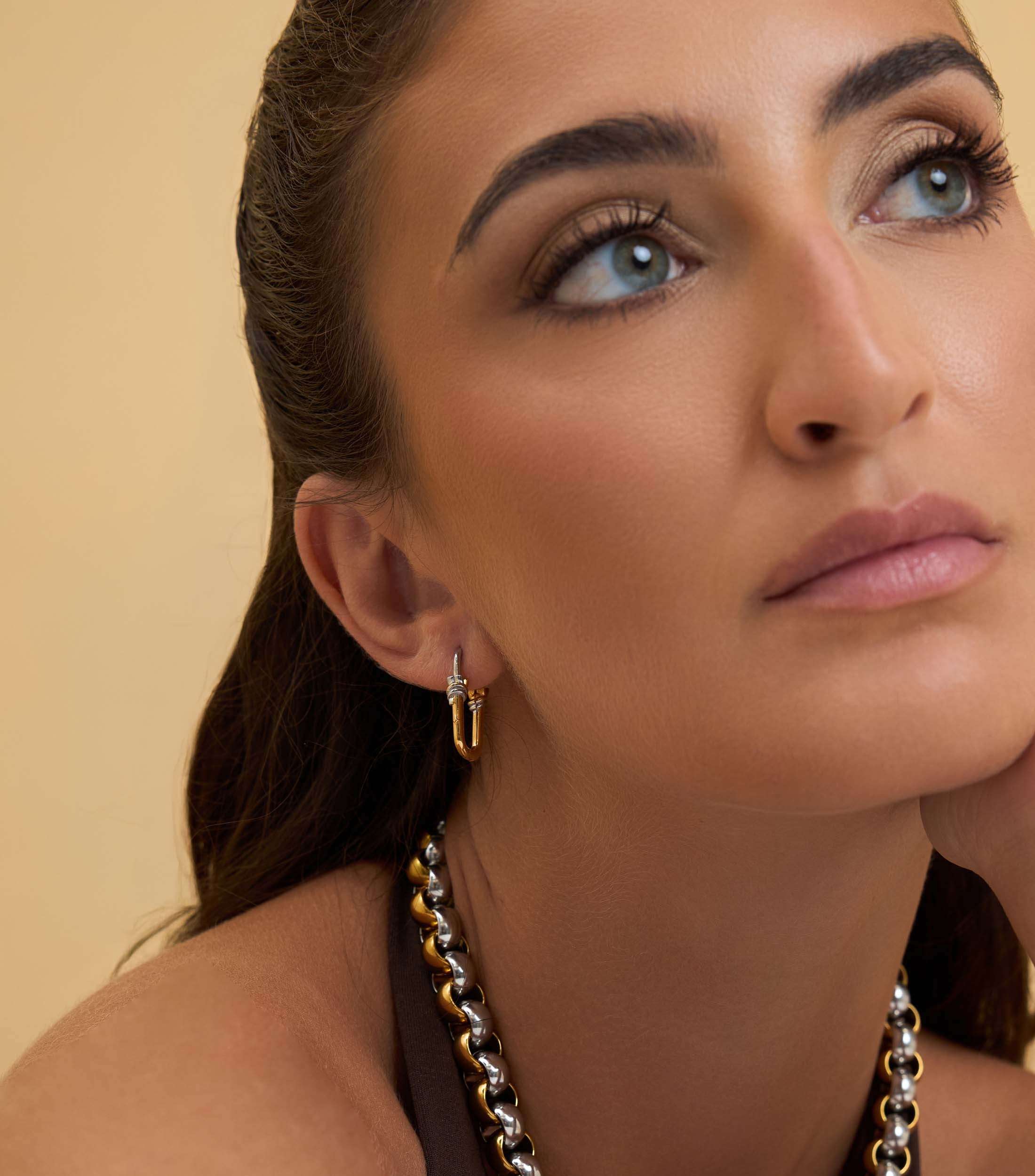 Two Tone Link Hoops