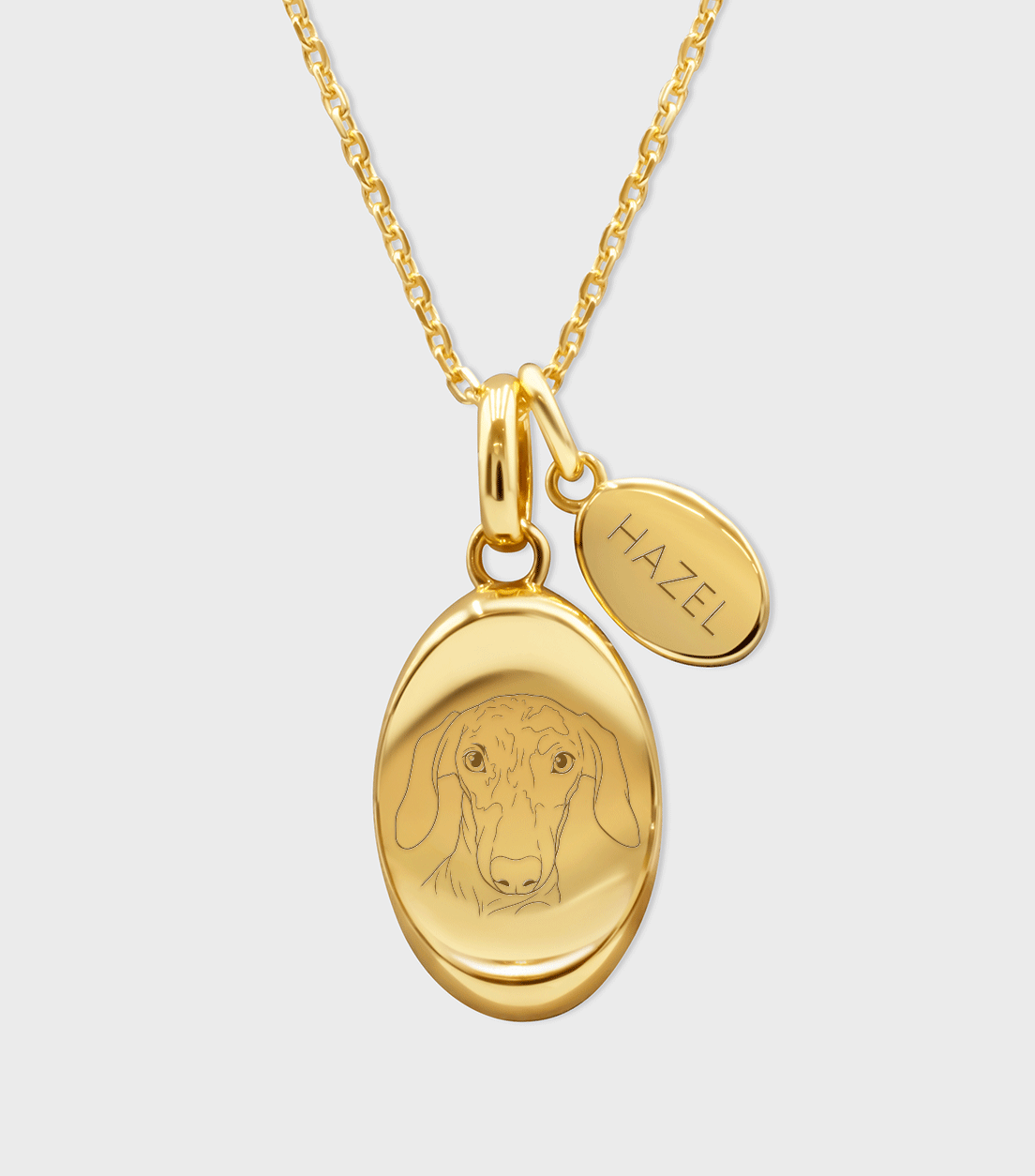 Demi Fine Pet Pendant Necklace