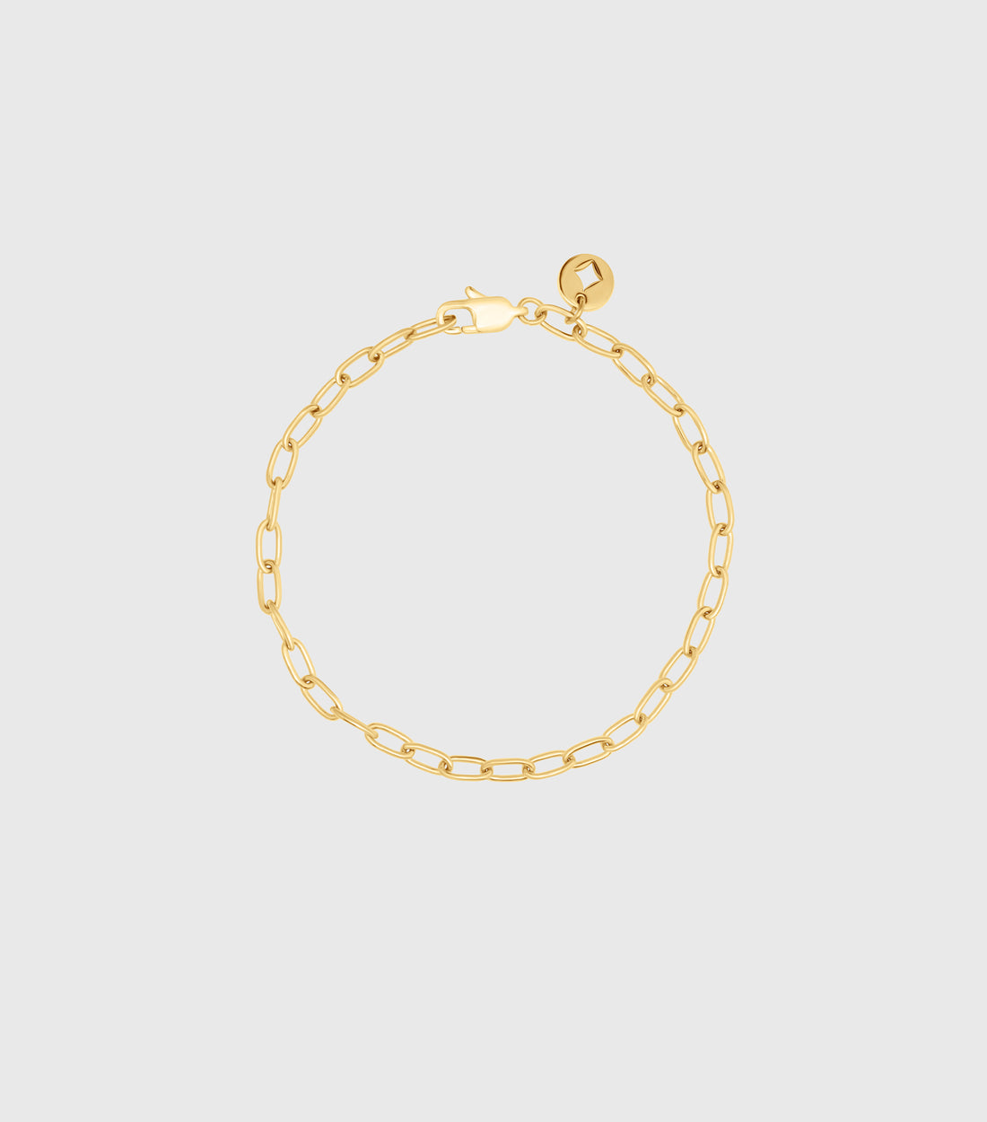 Charm Link Bracelet