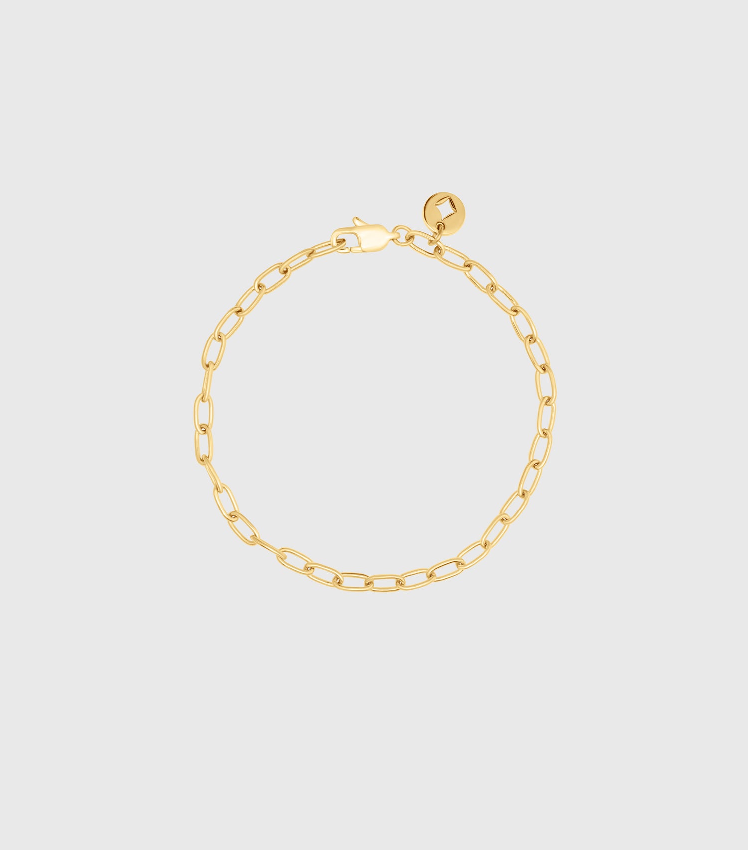 Charm Link Bracelet